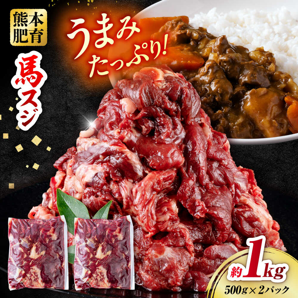 【ふるさと納税】馬スジ 計1kg 500g×2パック / 馬 スジ 熊本 冷凍 煮込み カレー 料理【五右衛門フーズ熊本店】[AYBV030]
