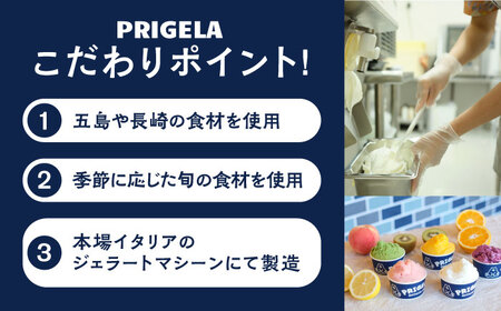 ジェラート 12個セット 8種以上 / お取り寄せ スイーツ アイスクリーム 食べ比べ 五島市 / PRIGELA[PFV002]