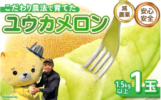 【先行予約】 安心安全！減農薬！こだわり農法で育てた ユウカメロン 1玉 1.5kg以上 【2027年6月中旬以降順次発送予定】 【メロン めろん フルーツ デザート 果物 くだもの 果実 糖度 甘い 産地直送 国産】 [A-21219]