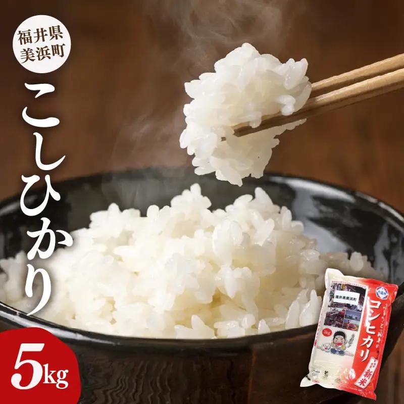 【先行予約】【令和8年産・新米】米 コシヒカリ 5kg × 1袋 精米 福井県美浜町産【2026年10月下旬から順次発送】 [m60-a020_10]