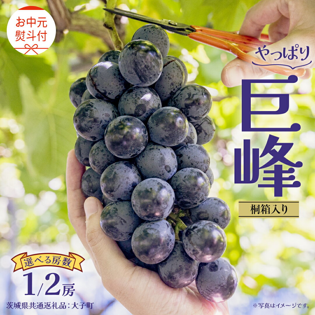 【ふるさと納税】《 選べる 房数 》《 お中元 桐箱入り》 巨峰 1房 2房 【2026年8月上旬発送開始】(茨城県共通返礼品：大子町) ぶどう 葡萄 ブドウ フルーツ 果物 スイーツ ギフト 贈答用 贈り物 プレゼント