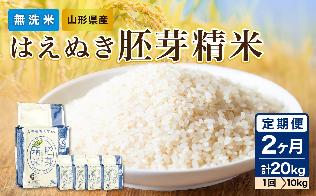 
            《2ヶ月定期便》山形県産 無洗米 令和7年産 はえぬき 胚芽精米 10kg(2kg×5袋)【山形県産 BG精米製法】 【036-T26】
          