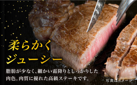 A4ランク 博多和牛 ヒレ肉 ステーキ 1枚 120g×8枚 入り《糸島》【糸島ミートデリ工房】[ACA046] ステーキ ヒレ ヒレ肉 フィレ ヘレ 牛肉 赤身 黒毛和牛 和牛 ステーキ肉 ステーキ