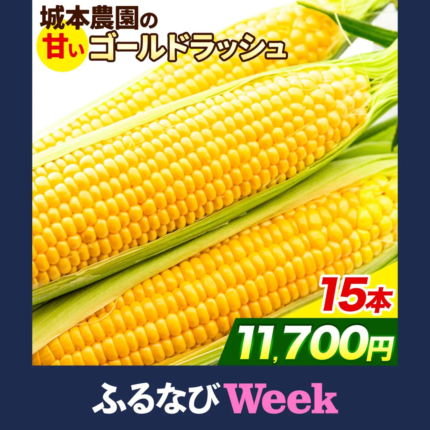 【ふるなびWEEK対象】とうもろこし 15本 城本農園