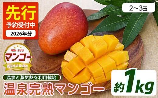 
            【2026年 発送】温泉完熟マンゴー約1kg(トロピカルファームいぶすき/022-1765) マンゴー フルーツ 果物 旬 夏 指宿 いぶすき 鹿児島
          