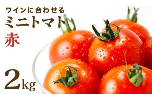 【先行販売】【ファーム雫】ワインに合わせるミニトマト赤 2kg【a127-003】