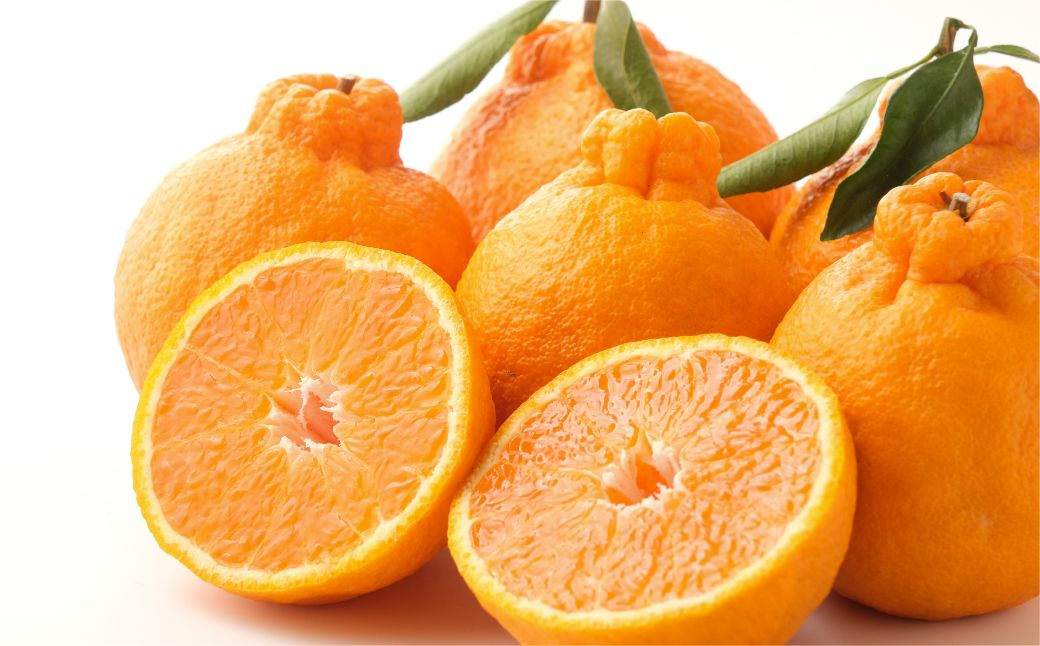 【ふるさと納税】【先行予約】【お試し！】Saito Orange Farmの不知火4kg ※離島への配送不可（2026年2月下旬頃より順次発送） 【ふるさと納税 人気 おすすめ みかん 蜜柑 柑橘 不知火 しらぬい フルーツ 果物 お試し Saito Orange Farm 愛媛県 伊方町 送料無料】 IKTAQ014
