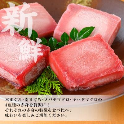 ふるさと納税 いちき串木野市 天然まぐろ4魚種(南マグロ・本マグロなど)赤身食べ比べセット 計約400g |  | 01