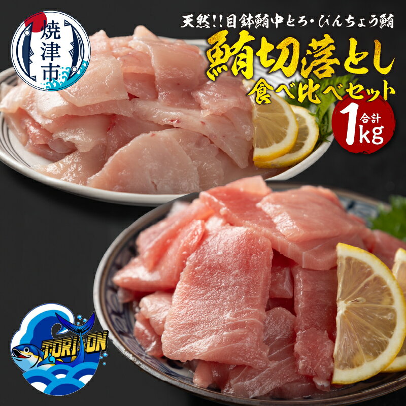 【ふるさと納税】 まぐろ 目鉢鮪 中とろ 400g びんちょう鮪 600g セット 食べ比べ 合計1kg 魚 冷凍 焼津 数量限定 a10-1219