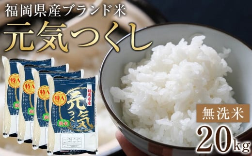 ＜令和7年産＞福岡県産ブランド米「元気つくし」無洗米20kg ＜筑前町＞【米 ブランド米 ブランド 白米 元気つくし 令和7年産 20kg 20キロ 無洗米 家庭用  お取り寄せ お土産 福岡県産 取り寄せ グルメ 福岡県 筑前町 CE004】