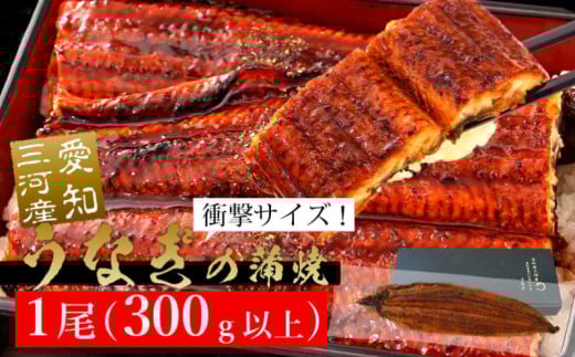 【12月17日までの入金完了で年内発送】規格外サイズ！とても大きな三河産うなぎ「蒲焼き冷凍×1尾（300g以上）」蒲焼 ウナギ 国産うなぎ 鰻 蒲焼 愛知県 西尾市 愛知養魚 本格うなぎ 丑の日 土用の丑の日・A135-14