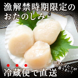 《冷蔵便でお届け!》北海道宗谷産活ホタテ3kg前後詰合せセット　泳ぐ帆立参上!【配送不可地域：離島・沖縄県・信越、北陸・東海・近畿・中国・四国・九州】【1015692】