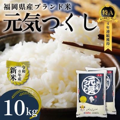 ふるさと納税 田川市 新米!!令和7年産 福岡県産米 元気つくし 合計10kg(5kg×2袋)(田川市)