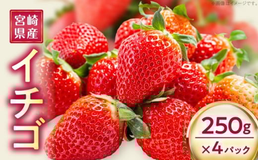 《2026年発送先行予約》【数量・期間限定】宮崎県産イチゴ 250g×4パック_M320-003