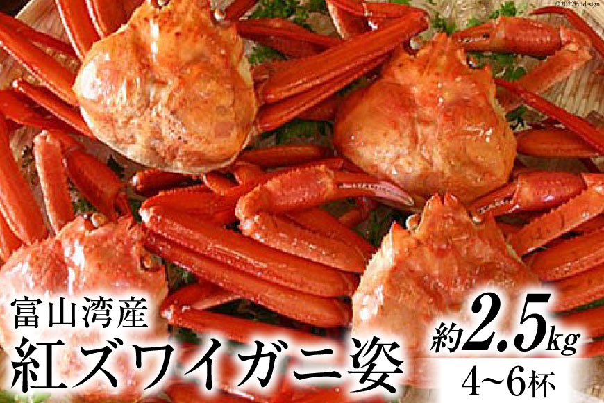 富山湾産 紅 ズワイガニ 姿 約2.5kg（4～6杯） かに カニ 蟹 / 寺田鮮魚店 / 富山県 朝日町 [34310230]