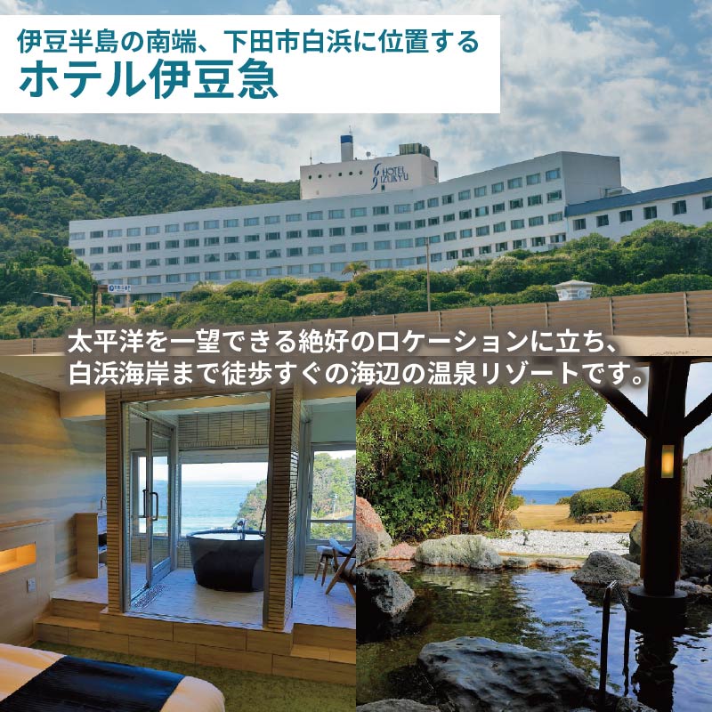 FFKT 2026 Izu Shirahama チケット 野外 屋外 フェス 音楽 Music ライブ クラブ DJ ダンス 海 イベント 白浜 ホテル伊豆急 ホテル プール 静岡県 下田市 伊豆