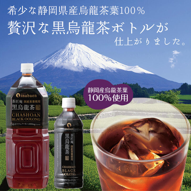 静岡県産 黒烏龍茶 計48本 500ml × 24本 2ケース ペットボトル 黒ウーロン茶 国産 ポリフェノール配合 いなば園 ウーロン茶 牧之原市 お茶