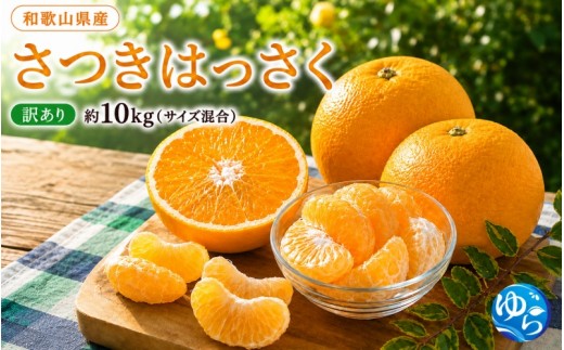 和歌山由良町産 さつきはっさく 10kg 訳あり サイズ混合【sml022-satu-c-10A】