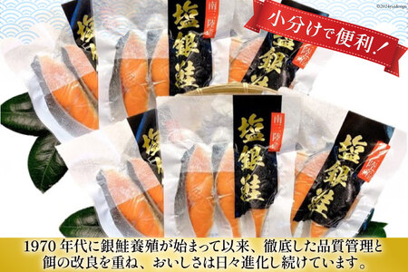 6回 定期便 鮭 切り身 塩銀鮭パック 3切 ×6袋 ×6回 総計36袋
