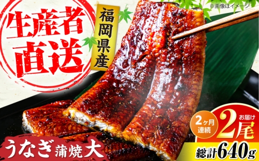 【全2回定期便】福岡県産 うなぎ 蒲焼 大2尾 合計 320 g（1尾あたり 160g以上）《豊前市》【福岡養鰻】[VAD034] 鰻 unagi 蒲焼 うなぎの蒲焼 惣菜 蒲焼き うなぎ 蒲焼 国産 かばやき 鰻 ウナギ うなぎ 蒲焼国産 定期 冷凍 うなぎ 定期便 九州 福岡