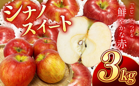 りんご 香りも良く食べやすい! 長野県産 シナノスイート 約3kg 秀品 〈2026年10月中旬～10月下旬発送〉| 長野県 飯田市