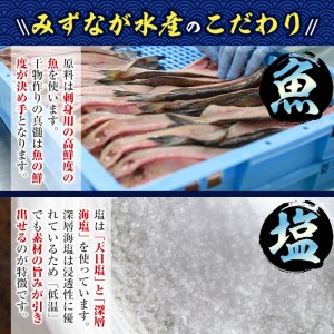 ソフトさきいか(計約600g・100g×6P)干物 おつまみ 珍味 海産物 常温 保存【E-26】【水永水産】