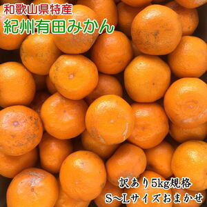 【2026年先行予約】【訳あり】 和歌山 有田みかん 5kg（S～Lサイズいずれかお届け）_ZD7019