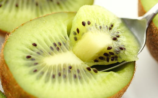 ［人気］有田産キウイフルーツ約3.6kg（サイズおまかせ）★2026年１月下旬頃より順次発送