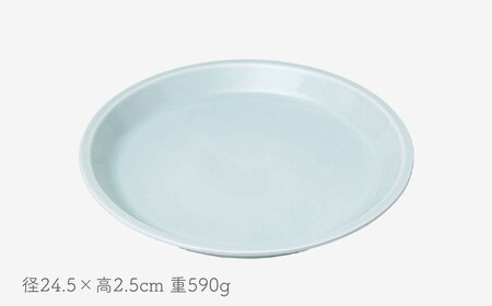 【波佐見焼】es 24cm プレート ボウル S 2点セット 青磁釉 ペア【西海陶器】 49330 1 49335 1[OA266]