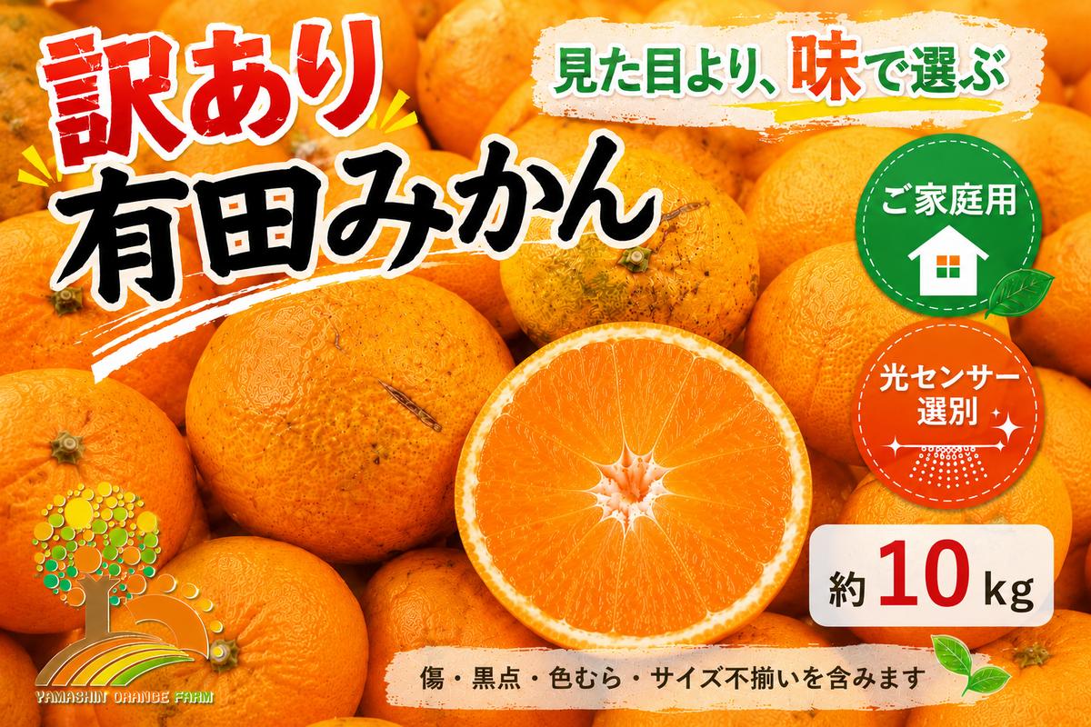 【訳あり】有田みかん 10kg | 農家直送 訳あり ご家庭用 サイズ混合 光センサー選別 温州みかん みかん 訳あり わけあり 家庭用