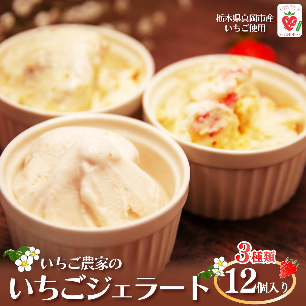 【ふるさと納税】いちご農家の『いちごジェラート 3種』 12個入り |いちごみるく いちごショートケーキ いちごミルフィーユ いちご 冷凍 苺 イチゴ ストロベリー ジェラート 大きい 美味しい 甘い あまい 人気 栃木県 真岡市 旬 送料無料