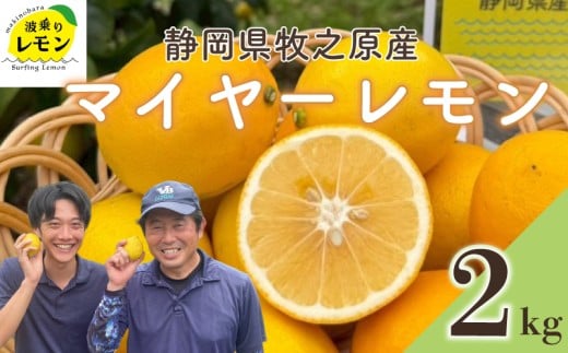 【国産】牧之原産 波乗りレモン マイヤーレモン 2kg 国産 Lemon 檸檬 柑橘類 柑橘 フルーツ 果物 酸っぱい 果肉 酸味  防腐剤不使用 自宅用 贈答品 レモンスカッシュ レモンパウンドケーキ レモンサワー くだもの 家庭用 静岡県産 農家直送 産地直送 産直 ビタミン ビタミンC クエン酸 グリーンレモン イエローレモン おすすめ 美味しい まいやーれもん 静岡県 牧之原市