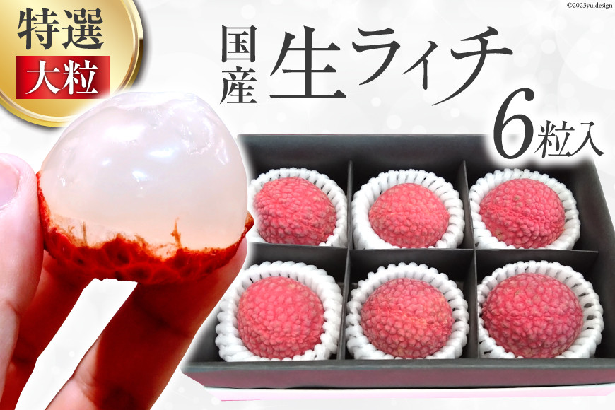 
【期間限定発送】 特選 大粒 生ライチ 6粒入り [大黒園 宮崎県 日向市 452060924] 果物 フルーツ 国産 宮崎産

