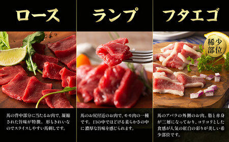 馬肉 熊本特産 フジチクオリジナル ふじ 馬刺し 堪能 セット 道の駅竜北  熊本県 氷川町 肉 馬肉 メン 大トロ 中トロ ヒレ シャトーブリアン ロース ランプ 上赤身 ネギトロ ふじ馬刺し セッ