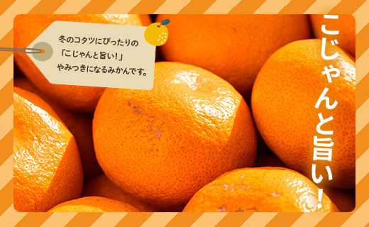 訳あり(家庭用) サイズお任せ 早生みかん 5kg 3S～Mサイズ be-0099
