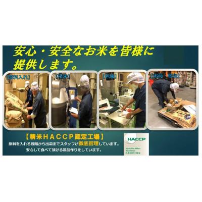ふるさと納税 太宰府市 【令和7年産】福岡県産夢つくし　5kg×2袋(太宰府市) |  | 02