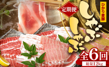 【定期便全6回】鹿児島県産 ひかり麦豚 しゃぶしゃぶ 食べ比べセット 約2kg （200g×10パック） トレーなし 冷凍 HM-17 | 肉 お肉 にく 豚肉 ロース 肩ロース バラ肉 スライス 真空冷凍 産地直送 新鮮 小分け 甘み 産地直送 鹿児島県 南大隅町 ひかり麦豚直売所