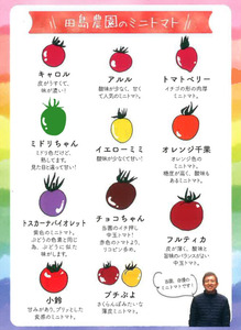 トマト＆ミニトマトセット 4kg | 田島農園 野菜 トマト ミニトマト 濃厚 贈り物 新鮮 高糖度 リコピン ビタミン 美容 健康