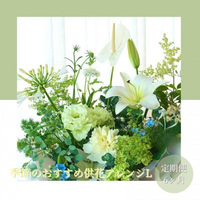 ふるさと納税 芸西村 【毎月定期便】芸西村産季節の生花アレンジメント　供花仏花L【t176tmf】全6回
