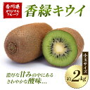 【ふるさと納税】香緑キウイ (小玉サイズ) 約2kg フルーツ 果物 くだもの キウイ 香緑 小玉 デザート キウイフルーツ 食品 名産 四国 F5J-670