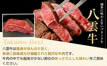 八雲牛 もも肉(ランプ)ブロック 500g ※沖縄・離島への配送不可
