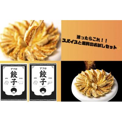 ふるさと納税 岸和田市 【瞬間冷凍:生餃子】黒豚餃子とスパイス餃子のお試しセット 100ケ 合計2kg