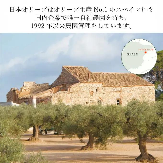 オリーブオイル エキストラバージン オリーブ オイル トルトサ 1本入箱 10セット 油 オリーブ油 食用油 調味料 セット ギフト 贈り物