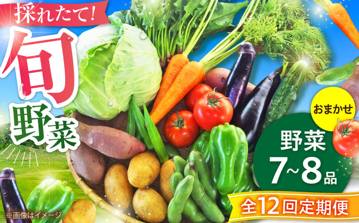 
                  【全12回定期便】旬の 野菜 セット (約3kg/野菜7-8品程度) / 野菜 野菜セット 野菜定期便 野菜詰め合わせ やさいセット サラダ スープ 炒め物 鍋料理 煮物 汁物 料理 和食 野菜 詰め合わせ 新鮮野菜 旬野菜 おまかせセット お任せ 食材セット 宅配 二人暮らし 具材 熊本県産 産地直送 おすすめ 人気 12ヶ月定期便 12か月定期便 【有限会社さんふれあ】 [BHAK026]
                