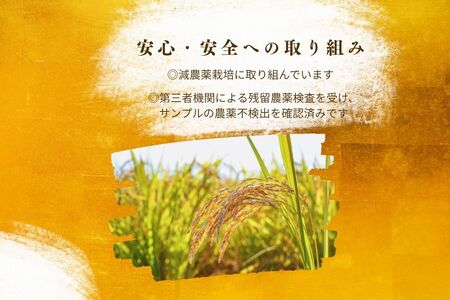 【令和7年産】福岡県飯塚市産 夢つくし 10kg(精米)【D2-012】