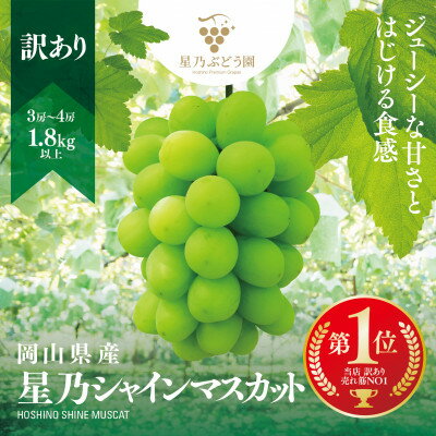 【ふるさと納税】星乃シャインマスカット(岡山県産)　1.3kg以上/1.8kg以上/650g以上_ ぶどう 葡萄 シャインマスカット 果物 くだもの フルーツ 岡山県 津山市 人気 おすすめ 送料無料 贈答 ギフト 【配送不可地域：離島・北海道・沖縄県】【G1418932】