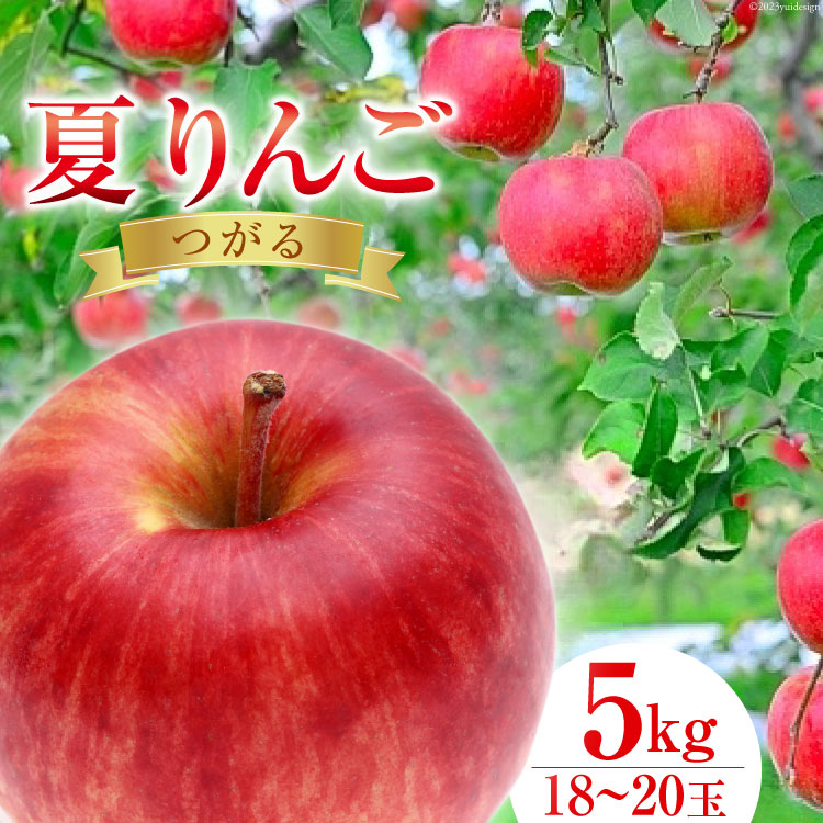 【ふるさと納税】【2025年発送】 【 数量限定 】 夏 りんご つがる 5kg 18～20玉 [長坂りんご園 山梨県 韮崎市 20743084] 果物 フルーツ くだもの 果実 デザート リンゴ 林檎 5キロ 旬 山梨 山梨県産 期間限定 季節限定