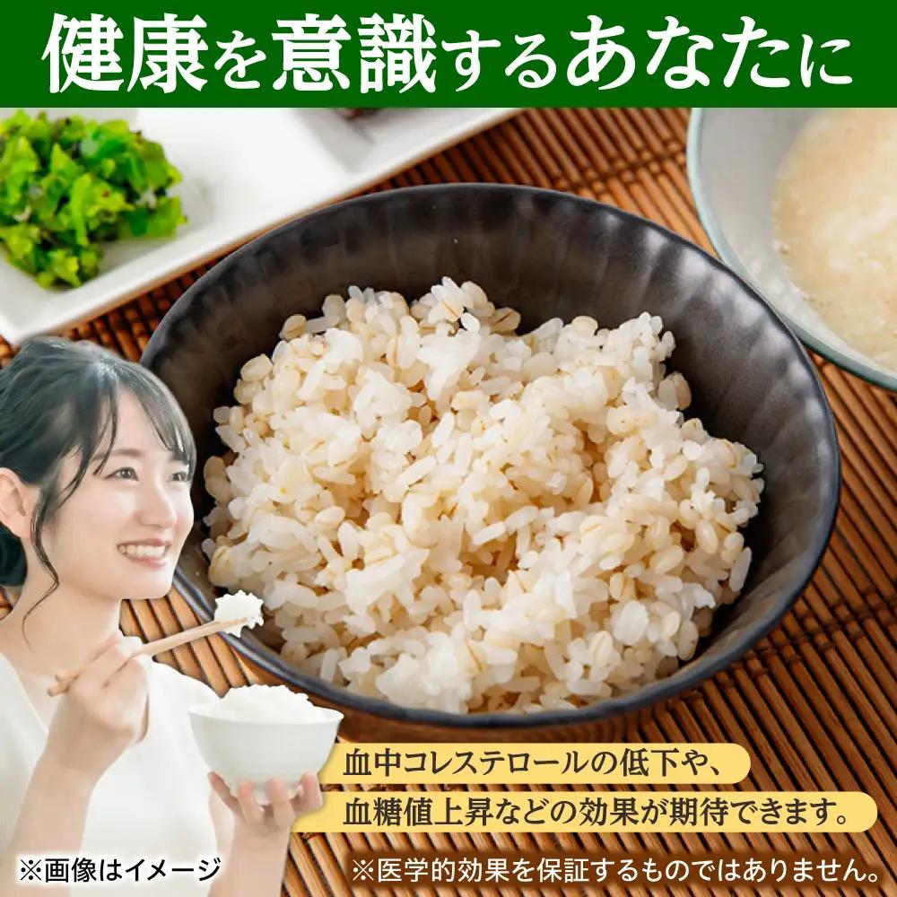 丸麦 20kg [AHBU001] 麦