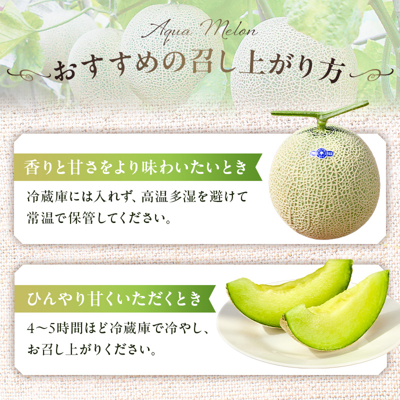 南房総市産アクアメロン（マスクメロン）1個 メロン 高級 フルーツ 果物 果汁 みずみずしい 別格 厳選 化粧箱入り ギフト