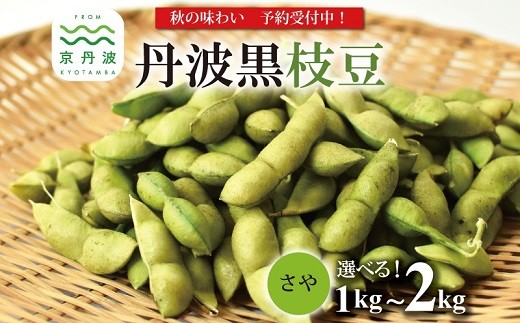 
                  熟成 丹波黒枝豆 さや 選べる 1kg 1.5kg 2kg （京都 京丹波町産 丹波黒大豆）≪秋だけの期間限定 数量限定≫【 熟成 季節限定 おつまみ 枝豆 えだまめ 地域限定 黒豆 ご当地グルメ 特産品】※北海道・沖縄は配送不可 [008KK001LX]
                